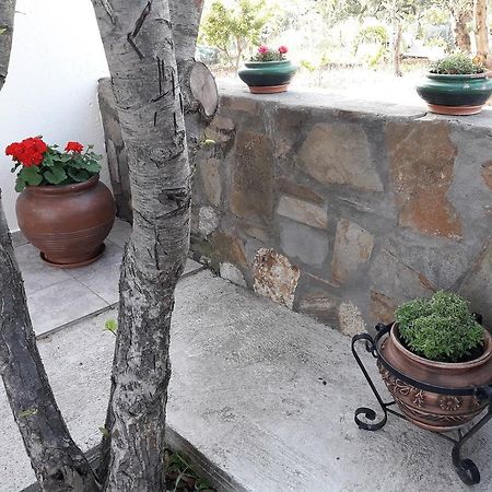 Nikiforos House Apartment Агиос Николаос Екстериор снимка