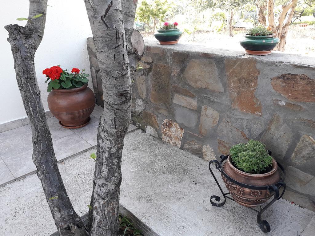 Nikiforos House Apartment Агиос Николаос Екстериор снимка